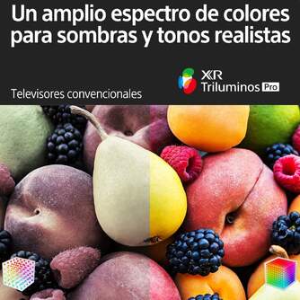 TV SONY 50%%%quot; XR50X90S UHD TRIL STV XR F.ARRAY BRAVI