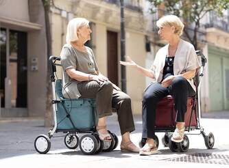 CARRO-COMPRA CARLETT COMFORT RUBY ROJO