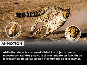 TV TCL 55%%%quot; 55C745 UHD QLED FULLARRAY GOOGLETV 144H