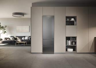 FRICOM. HAIER HTR3620ENMG 205x60 NF INOX 3D 3P