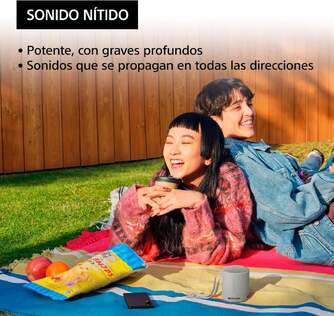 ALTAVOZ SONY SRSXB100H BLUETOOTH GRIS