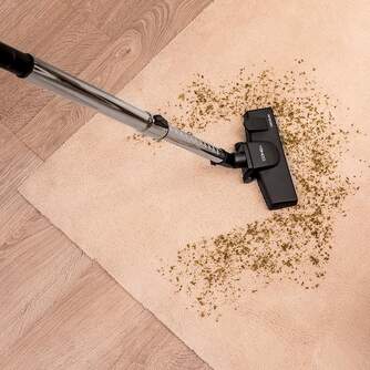 ASPI. TRINEO CECOTEC POWER BAG 2000 8575 C/B 800W