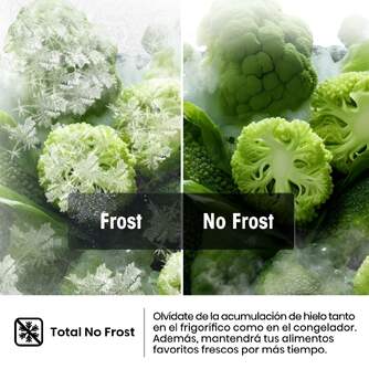 CONG.VER HISENSE FT3K310SEWE 186x60 NF 312L KFIT