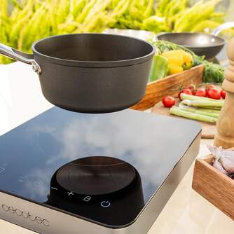 HORNILLO CECOTEC FULL MAG. SING 1F INDU 2000W 2658