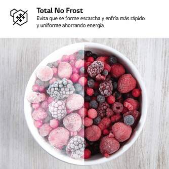 CONG.VER LG GFM61MCCSF 186x60 NF NEGRO