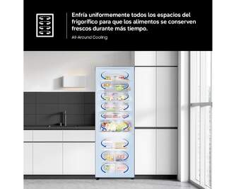 FRICOM. SAMSUNG RB34C775CB1EF 185x60 NF DSP NEGRO