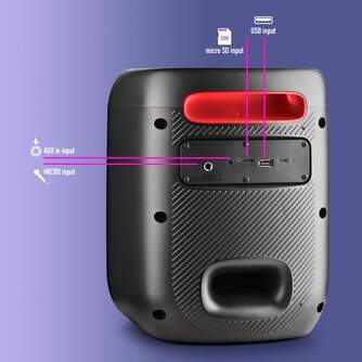 ALTAVOZ NGS WILDSWAGGO PORTATIL BT 80W 6A BAT USB