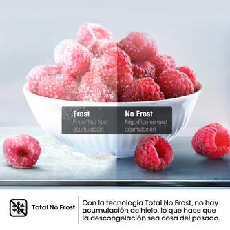 FRI. HISENSE RS677N4WCD 178x92 NF GRIS INOX DISP