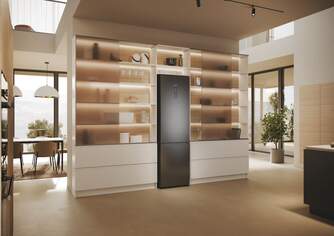 FRICOM. HAIER HDPW5620ANPD 205x60 NF INOX