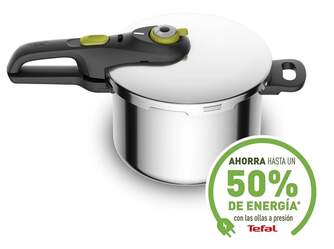 OLLA PRESION RAPID. TEFAL P25807 SECURE TR 6L VERD