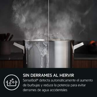 ENCIM. AEG TI63IQ3BFB 3F IND SENSEBOIL%%%amp;FRY