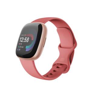 SMARTWATCH FITBIT VERSA 4 FB523RGRW PINK SAND/COOP