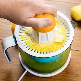 EXPRIM. CECOTEC ZITRUS EASY BASIC 04068 40W 1L CU