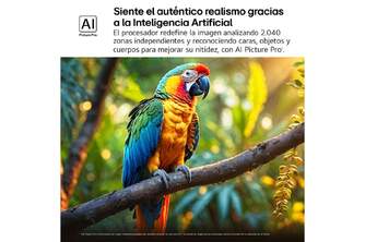 TV LG 55%%%quot; 55QNED92A6A UHD QNED EVO MINILED ALFA8