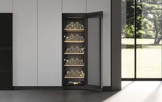 VINOTECA HAIER HWS247GEH1 247B