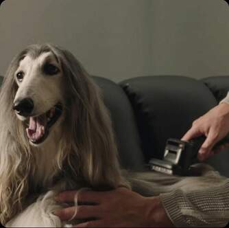 ASPI. ESCOBA DREAME Z30 310AW 90MIN MULTISUPERF