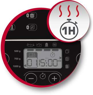 PANIFICADORA MOULINEX OW210130 12PROGRAMAS