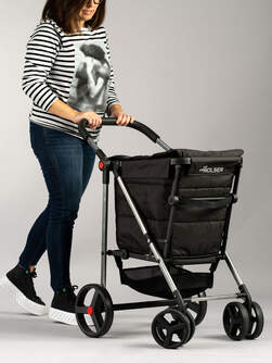 CARRO-COMPRA ROLSER BAS001 BASKET POLAR 4B NEGRO