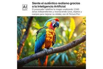 TV LG 75%%%quot; 75QNED92A6A UHD QNED EVO MINILED ALFA8