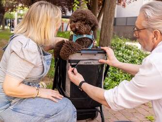 CARRO-COMPRA CARLETT CUBE P PINE MASCOTAS