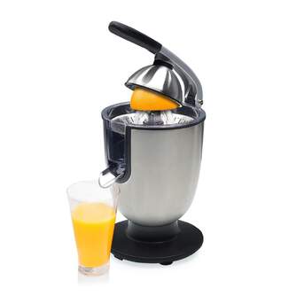 EXPRIM. PRINCESS 201863 BRAZO 300W INOX