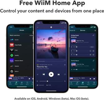 REPRODUCTOR DE AUDIO WIIM PRO MULTIROOM