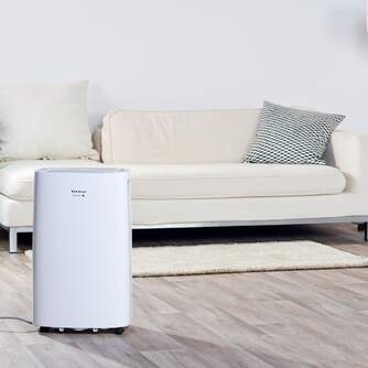 DESHUMI TAURUS PLEASANT UNIQUE 22L DH2201