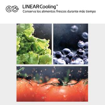 CONG.VER LG GFM61MCCSF 186x60 NF NEGRO