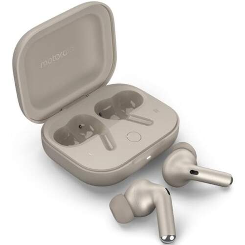 Auriculares Motorola Buds + Forest Grey