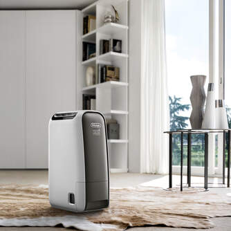 DESHUMI DELONGHI DNS65 16L