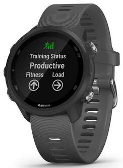 SMARTWATCH GARMIN FORERUNNER 245 010-02120-10 GRIS