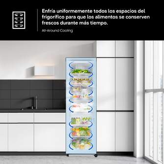 FRI. SAMSUNG RR70H39CDTEF 186x60 1P NF DSP INOX