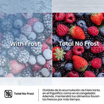 FRICOM. HISENSE RB3B280SAWE 194x54x55 NF INT