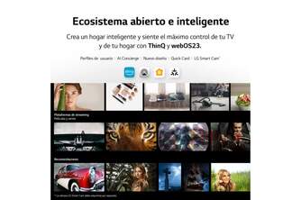 TV LG 43%%%quot; 43UR91006LA UHD STV WEB23 MAGIC SLIM