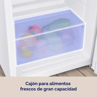 FRI. ARTICA AFE2P16655L248B/CICLOUP166EB 2P CICL