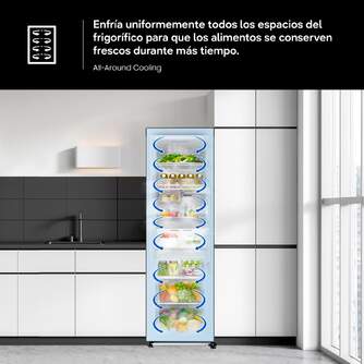 FRI. SAMSUNG RR70H39DCFEF 186x60 1P NF DSP GRAFITO
