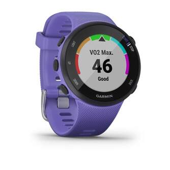 SMARTWATCH GARMIN FORERUNNER 45S IRIS 010-02156-11