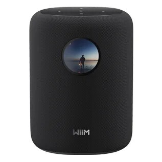 ALTAVOZ WIIM SOUND BLUETOOTH WIFI 100W 1,8%%%quot; NEGRO
