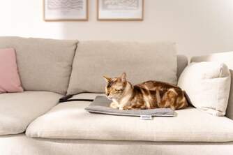 ALMOHADILLA MASCOTAS BEURER PP210 PEQUE%%%#209;A LILLI