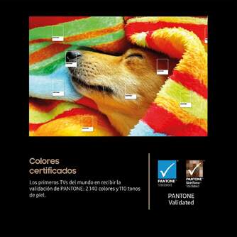 TV SAMSUNG 77%%%quot; TQ77S91F UHD OLED SMART TV 144HZ