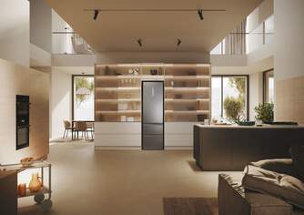 FRICOM. HAIER HTW5620ENMG 205x60 NF INOX 3D 3P