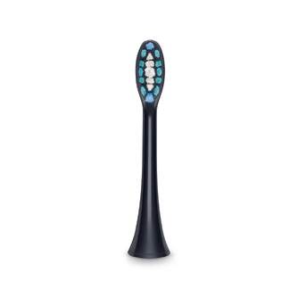 ACC. BEURER 105.31 REC.DENTAL BLAQ.PRM.SC30/50 4UD