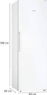 CONG.VER SIEMENS GS36NVWEV 186x60 242L BCO