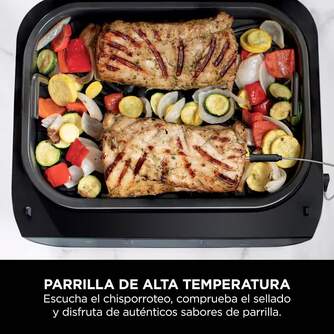 BARBACOA NINJA DG551EU 6EN1 DE INTERIOR FREID.AIRE