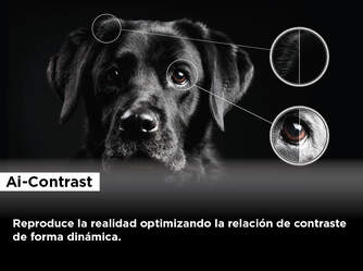 TV TCL 55%%%quot; 55C745 UHD QLED FULLARRAY GOOGLETV 144H