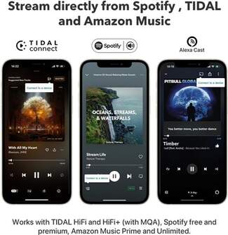 REPRODUCTOR DE AUDIO WIIM PRO PLUS