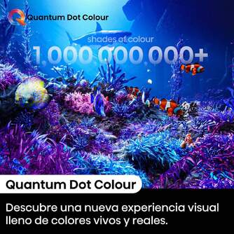 TV HISENSE 75%%%quot; 75E7NQ PRO UHD QLED SMART TV 144HZ