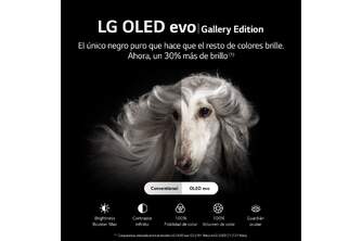 TV LG 97%%%quot; 97G29LA UHD OLED EVO ALFA9