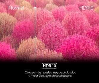 TV GENIUM 50%%%quot; GTV50UHD UHD WEBOS