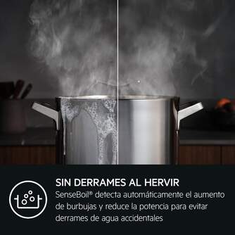 ENCIM. AEG TI63IQ10IZ 3F INDUCCION